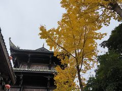 -南津关古镇