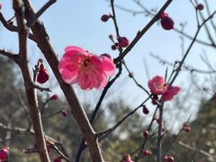 -天花井景区
