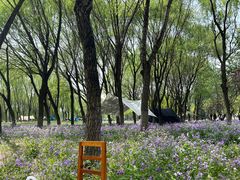 -东坝千亩湖公园