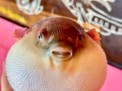 -永安鱼庄·镇江菜(丁卯店)