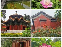 -故宫博物院(故宫)