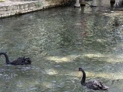 -水磨沟公园