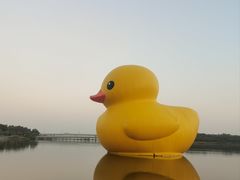 -深圳人才公园