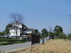 -桤木河湿地公园