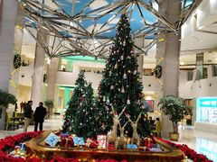 -成都世纪城假日酒店-西楼