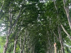 -河南省黄河迎宾馆