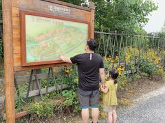 -田园东方蜜桃村的田野营地