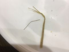 -粗茶淡饭•陕菜•家常菜