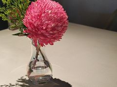 -芙蓉堂(武汉天地店)