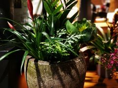 -谷咖啡·鲜花绿植花园餐厅