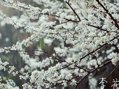 -桃花涧