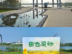 -杭州湾海上花田景区