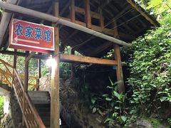 门面-农家野菜馆