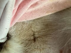 -宠颐生中康贝怡动物医院