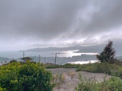 -枸杞岛