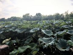 -云龙湖旅游景区