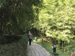 -上海方塔园-何陋轩