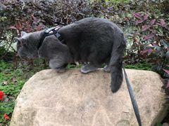 -合肥滨湖国家森林公园