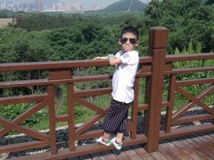 -青龙山国家森林公园