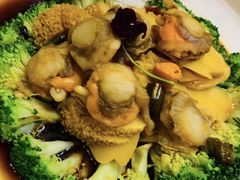 -兴芮温泉度假区