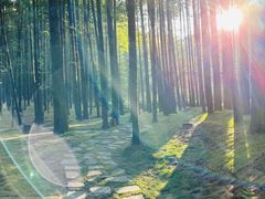 -山王坪喀斯特国家生态公园