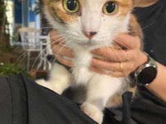 -厦门良筑精品酒店(厦门中山路店)