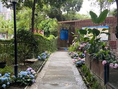 -二荆条·蜀鲜汇城市森林火锅