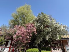 -洛阳市隋唐城遗址植物园
