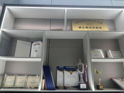 -单色舞蹈
