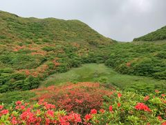 -大围山国家森林公园