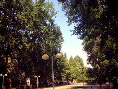 IMG_6235-西安理工大学(金花校区)