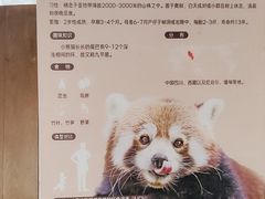 -武汉动物园