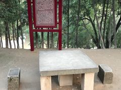 -延安杨家岭革命旧址