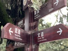 -黄帝陵