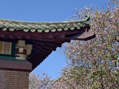 -华农酸奶文化馆