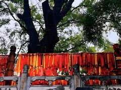 -大槐树寻根祭祖园