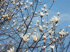 -九里河湿地公园