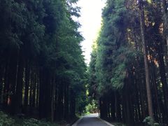 -山王坪喀斯特国家生态公园
