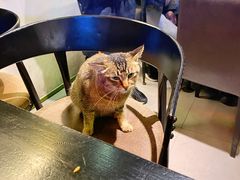 -黄师傅湿辣牛肉(胡桃里店)