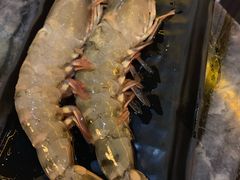 -熊出没日本烧肉放题