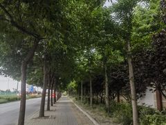 -大鸭梨烤鸭(石佛营店)