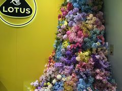 -莲花跑车(国贸商城店)