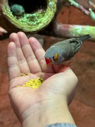 -Zoolung Zoolung动物主题公园(海信广场店)