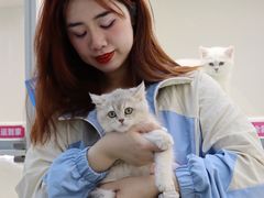 -lincat·猫舍(广州店)