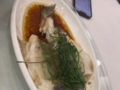 -金华安大酒楼·老牌潮菜·粤式茶点(东方国际店)