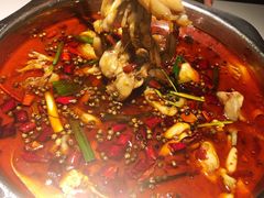 -宽口美蛙鱼头(大唐西市店)