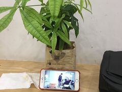 -壹点壹客·生日蛋糕(南山店)