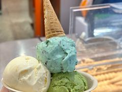 -极拉图·现制冰淇淋(大卫城店)