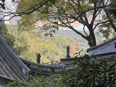 -宁波市保国寺古建筑博物馆