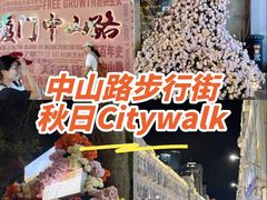 -中山路步行街